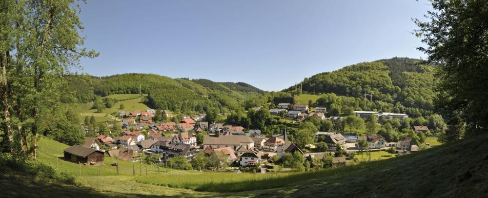 Blick auf die Ortsmitte des Stadtteils Oberprechtal