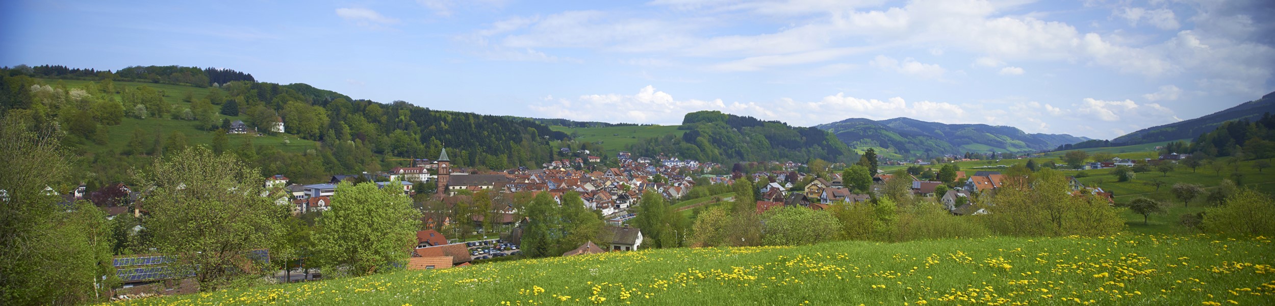 Elzach im Frühling, Aufnahme in Richtung Prechtal